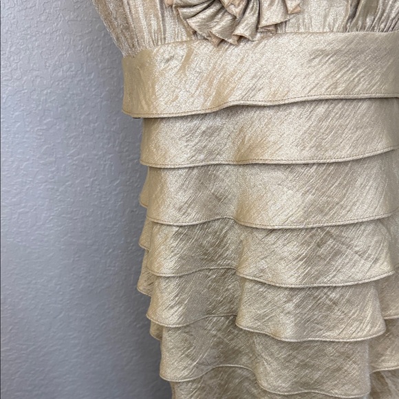 London Times Champagne Sheen Dress - Picture 9 of 12